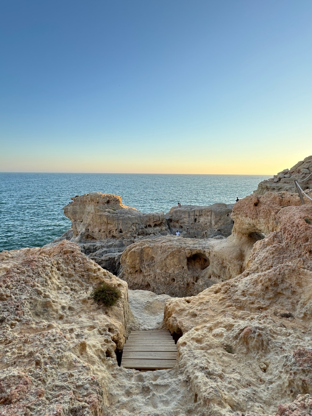 Leaving my Job with No Plan B